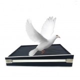 Güvercin Tepsisi Alevl...