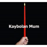 Kaybolan Mum-Mendile D...