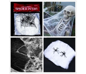 Örümcek ağı ve örümcek